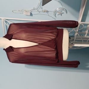 Express Sheer Deep-V Top